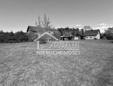 Zdjęcie 15893217