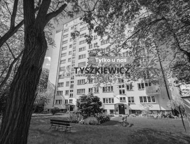 Zdjęcie 15893775