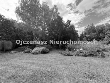 Zdjęcie 15894997