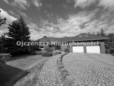 Zdjęcie 15894998