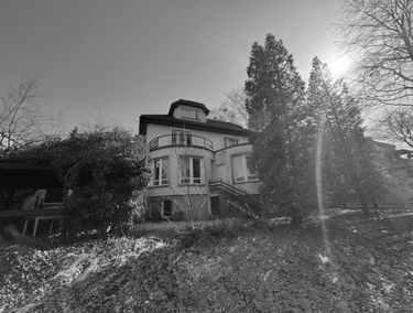 Zdjęcie 15895064