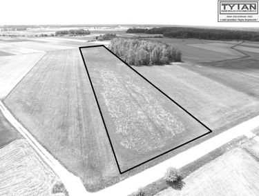 Zdjęcie 15896492