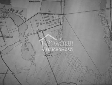 Zdjęcie 15896736