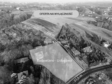 Zdjęcie 15896760