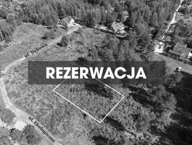 Zdjęcie 15897081