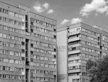 Zdjęcie 15897373