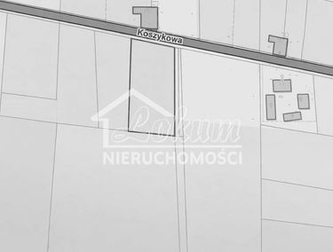 Zdjęcie 15897959