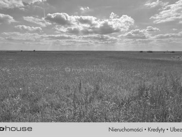 Zdjęcie 15898636