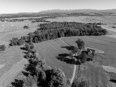 Zdjęcie 15899436