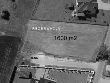 Zdjęcie 15899796