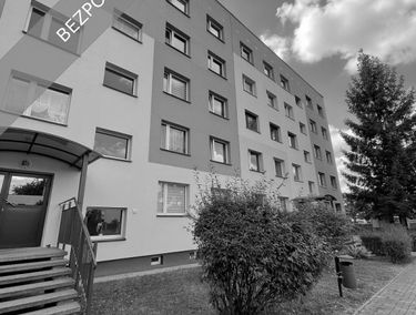 Zdjęcie 15901179