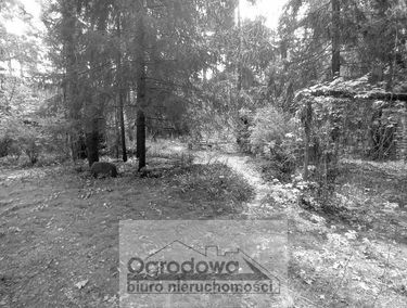 Zdjęcie 15901238