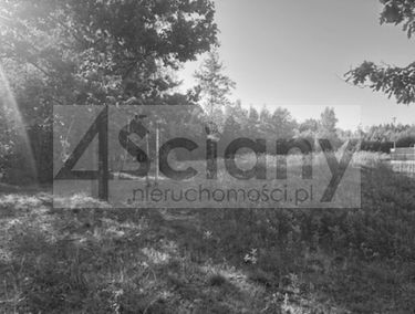 Zdjęcie 15901461