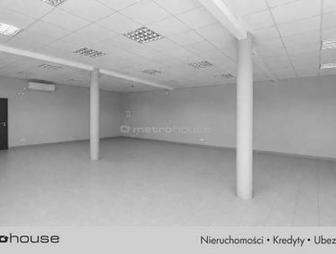 Zdjęcie 15901488