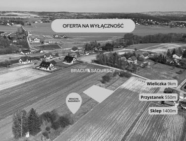 Zdjęcie 15901819