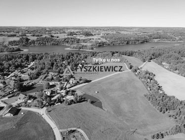 Zdjęcie 15902124
