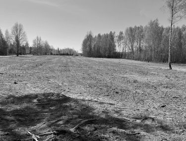 Zdjęcie 15903190