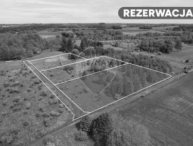 Zdjęcie 15903672
