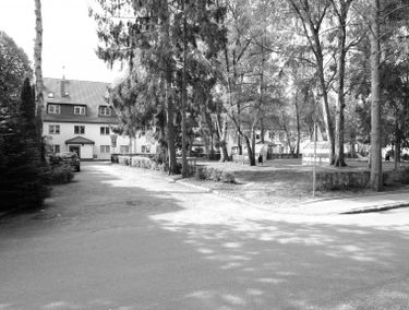 Zdjęcie 15903700