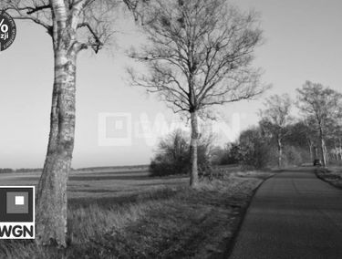 Zdjęcie 15903832