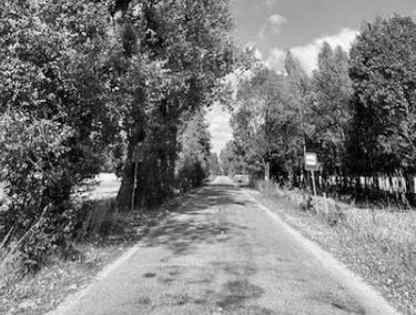 Zdjęcie 15904170
