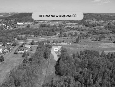 Zdjęcie 15904271