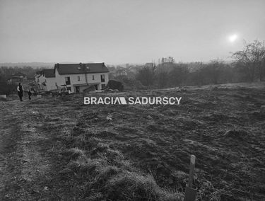 Zdjęcie 15904338