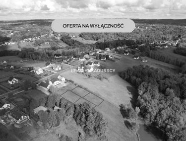 Zdjęcie 15904342