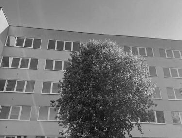 Zdjęcie 15905155