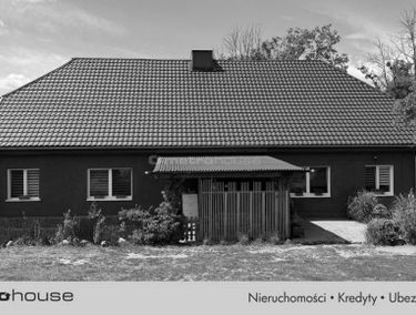 Zdjęcie 15905214