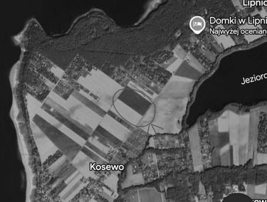 Zdjęcie 15905229