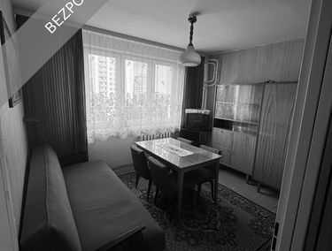 Zdjęcie 15905236