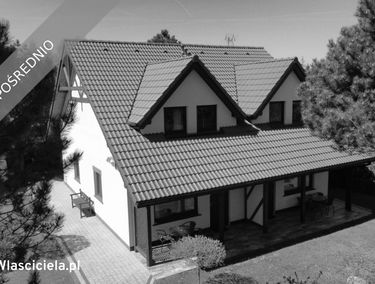 Zdjęcie 15905525