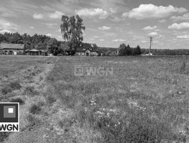 Zdjęcie 15906229