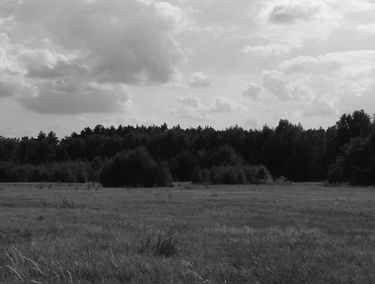 Zdjęcie 15906529