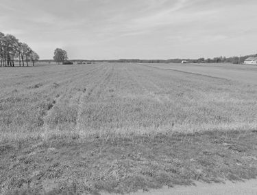 Zdjęcie 15906908