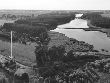 Zdjęcie 15907174