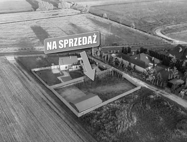 Zdjęcie 15907248