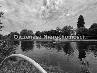 Zdjęcie 15907263