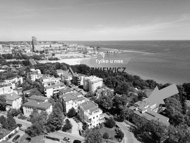 Zdjęcie 15907531