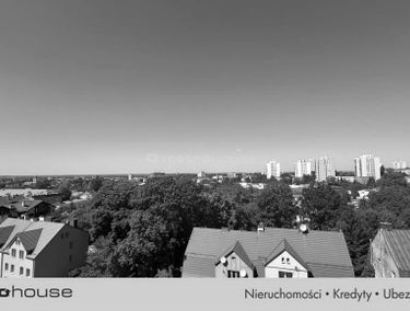 Zdjęcie 15907661