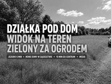 Zdjęcie 15908057