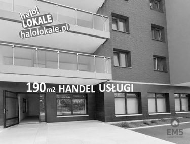 Zdjęcie 15910604
