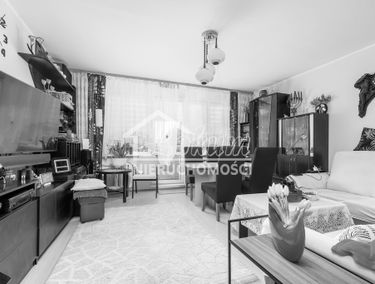 Zdjęcie 15911201