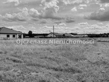 Zdjęcie 15911255
