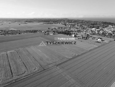 Zdjęcie 15911462