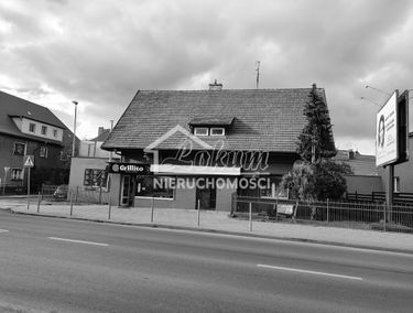 Zdjęcie 15912384