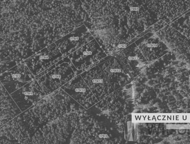 Zdjęcie 15912834
