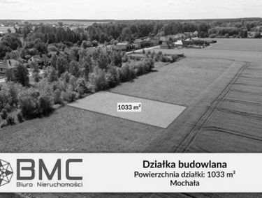 Zdjęcie 15912905