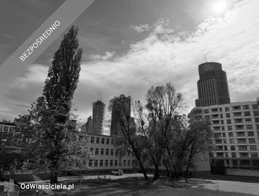 Zdjęcie 15913076